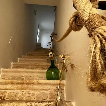 Dream بيت الحب